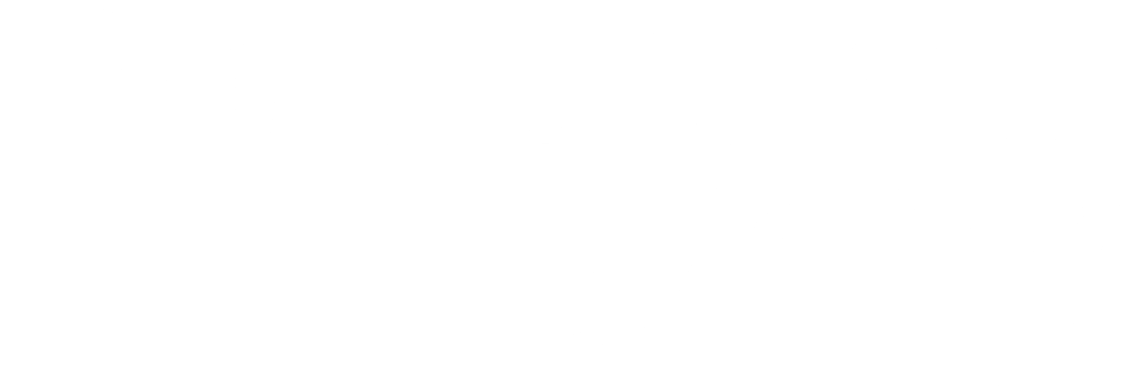 the non-linear journey white logo